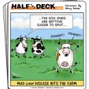 Two S. Korea retailers halt US beef sales over mad cow 이미지