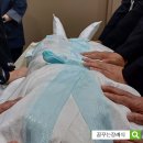 양주장례문화원 이미지