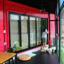 더 마을 핑크 이미지