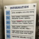 캣카페 집사의하루 분당점 | 분당 서현 고양이 카페 - 집사의 하루 분당점 이용후기 / 유기묘카페