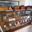 호미 베이커리 이미지