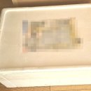 민선복주꾸미