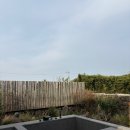 제주도 독채 숙소 자쿠지 스테이 오묘