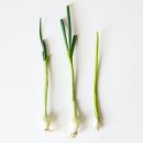 필라테스요가A 이미지