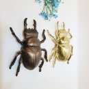 장식벽(조각) 이미지