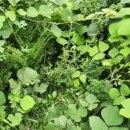 신현로12번길 이미지