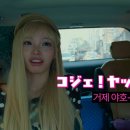 야호이