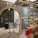 웰니스동물병원 스타필드 고양 이미지