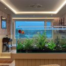 슬로우코티지 이미지