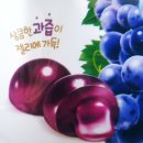 (주)엠탑 | 서울우유 아침에 주스 '포도젤리or사과젤리' 후기!
