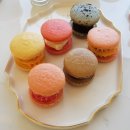 호랑호랑 이미지