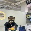 GS25 해운제이드점 | 8월 첫째주 일상 GS25 편의점 신상 스무디