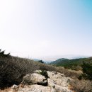 금정-13 이미지