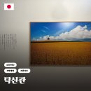 풍경(風景) | 삿포로 비에이 투어 탁신관 자작나무 숲길 갤러리 입장료 기념품 추천 위치 후기