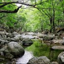 지에스25 부평구청역 이미지