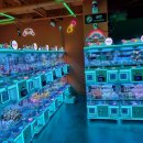 민트플레이 해운대 이미지