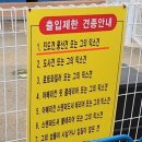 진도견나라 | 내돈내산 청주 멍글멍글 펫글램핑 국견출입금지?!