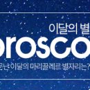 선애유통