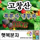 청수유기농장 네이버블로그