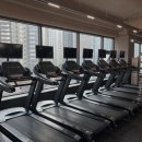 모조 피트니스 이미지