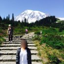 [미국여행🇺🇸]시애틀 마운틴레이니어 , 마운트 레이니어 국립공원, 나라다폭포 방문후기 - Mount Rainier...