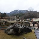 충주 수안보 여행 (2011.02,27~03,01) 이미지