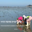 인천공항 시설관리 노동조합 | [공지] 아이와 인천 여행 5시간 코스 | 영종도 마시안 갯벌체험장 준비물 총정리