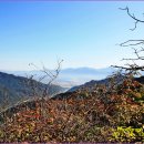 곡성-026 Daum카페