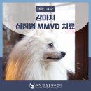 고척원동물의료센터 이미지