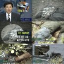 원흥천 이미지