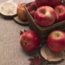 영천 스타농원 이미지