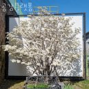 죽전교차로(버스정류장) 이미지