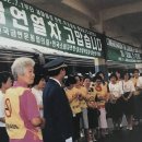 대중담배