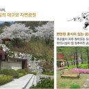 탑동추모공원 이미지