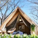 동순천 서비스 이미지