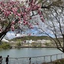 대구광역시청 별관 이미지