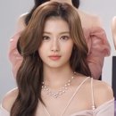 예쁜머리 예쁜얼굴 이미지