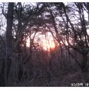 한재목장 Daum카페