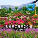 전(마을) | 장생포 고래문화마을 축제 전 수국 라벤더 실시간 개화 주차 후기