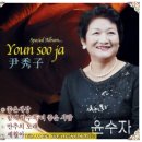 나비가요세상 이미지