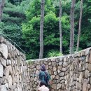 문경새재 생태미로공원 이미지