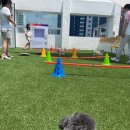 heav.pet 이미지
