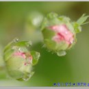 달맞이 펜션 이미지