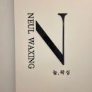 늘왁싱