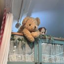 모코모코 이미지