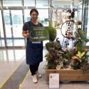 중앙원예 이미지