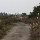 온평리-2 이미지