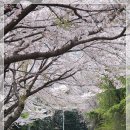 장복산길 이미지