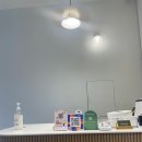 도그메종 이미지