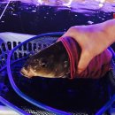 신촌낚시터 이미지